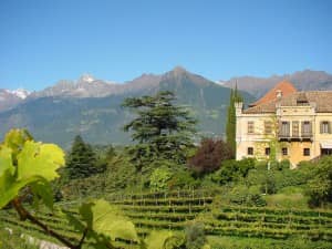 Weingut-Schloss-Rametz