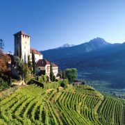 Il paesaggio vinicolo di Marlengo